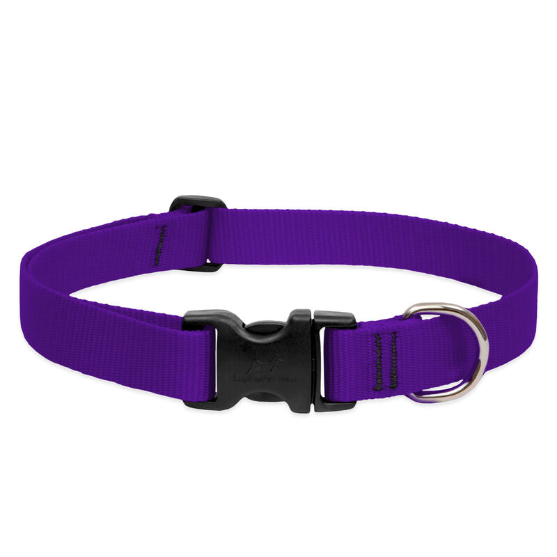 Lupine Basics Dog Collars (Quick Release)