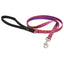 Lupine Original Designs Dog Leashes