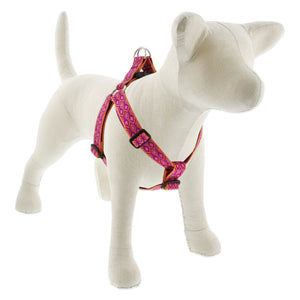 Lupine Original Designs Step In Harnesses