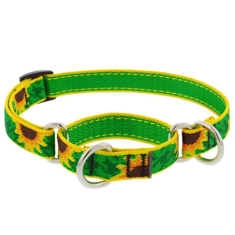 Lupine Original Designs Martingale Dog Collars