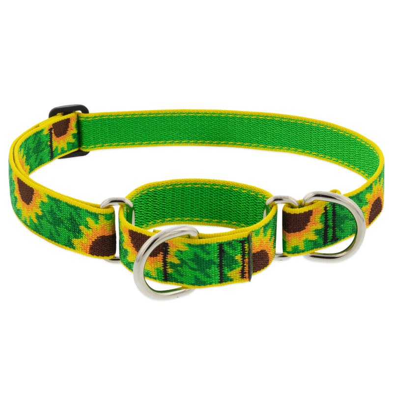 Lupine Original Designs Martingale Dog Collars