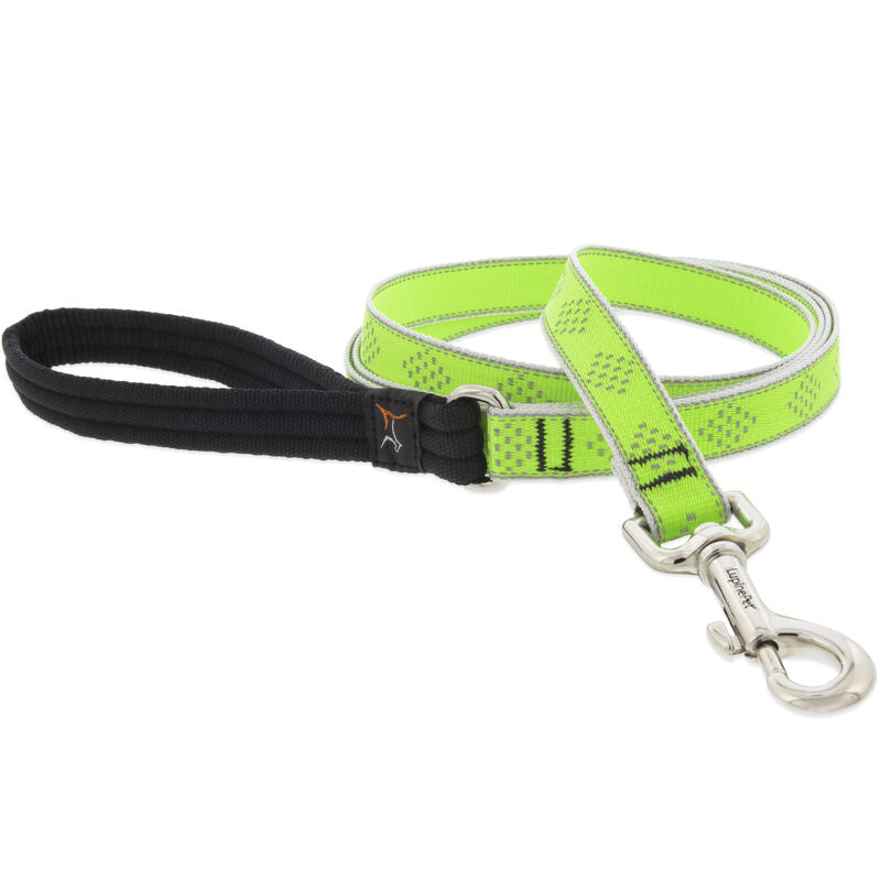 Lupine High Lights Dog Leashes