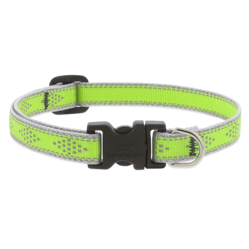 Lupine High Lights Dog Collars (Quick Release)