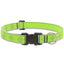 Lupine High Lights Dog Collars (Quick Release)