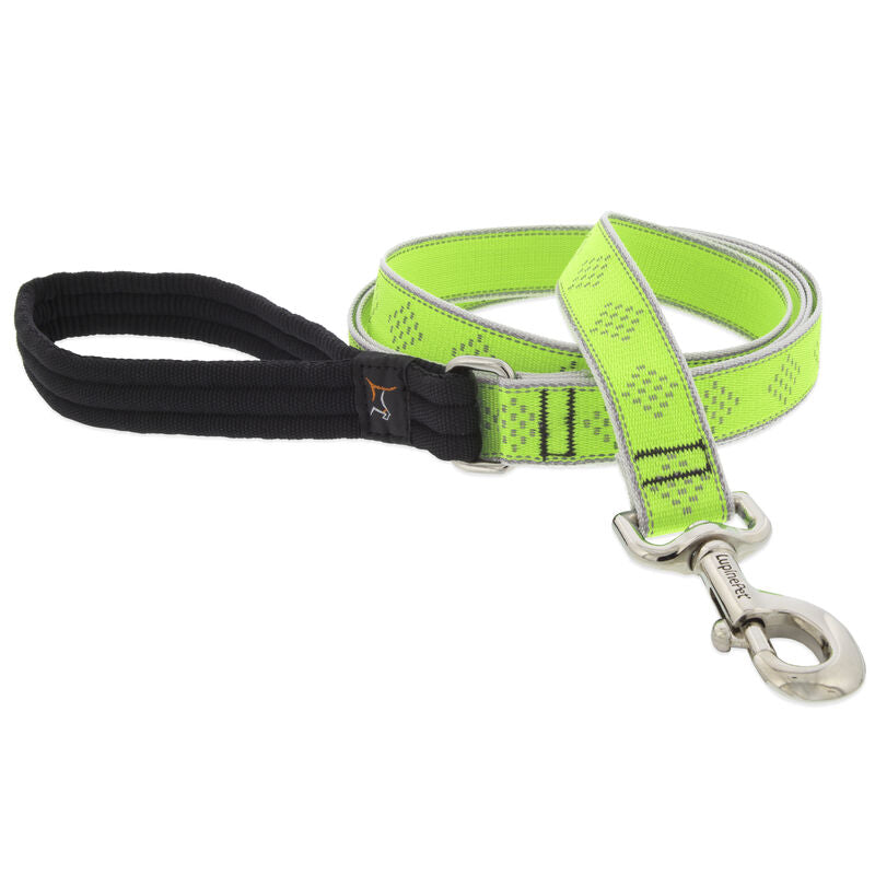 Lupine High Lights Dog Leashes