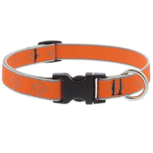 Load image into Gallery viewer, Lupine High Lights Dog Collars (Quick Release)
