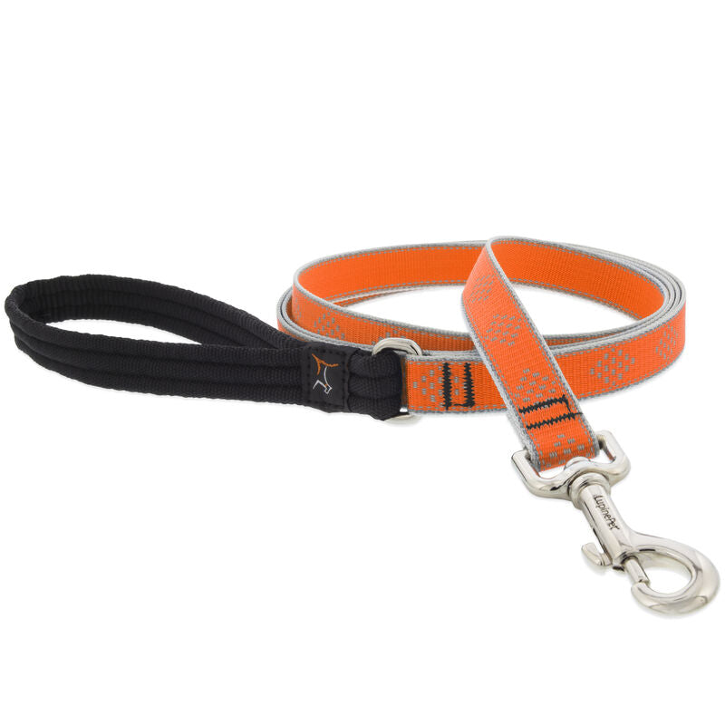 Lupine High Lights Dog Leashes