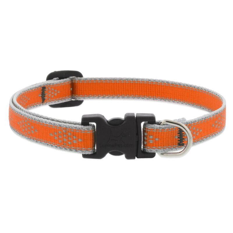 Lupine High Lights Dog Collars (Quick Release)