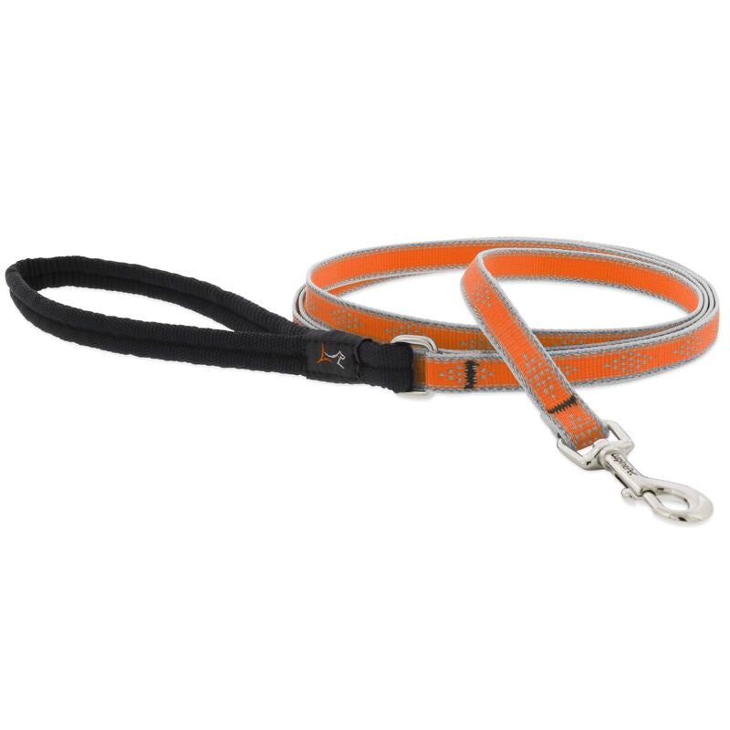 Lupine High Lights Dog Leashes