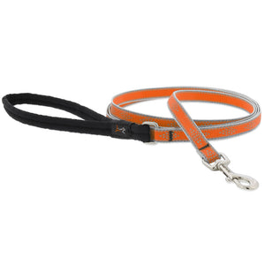 Lupine High Lights Dog Leashes