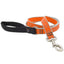 Lupine High Lights Dog Leashes