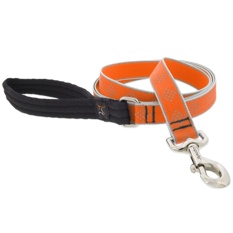 Lupine High Lights Dog Leashes