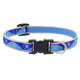 Lupine High Lights Dog Collars (Quick Release)