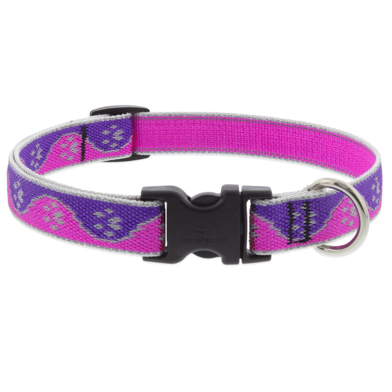 Lupine High Lights Dog Collars (Quick Release)