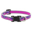 Lupine High Lights Dog Collars (Quick Release)