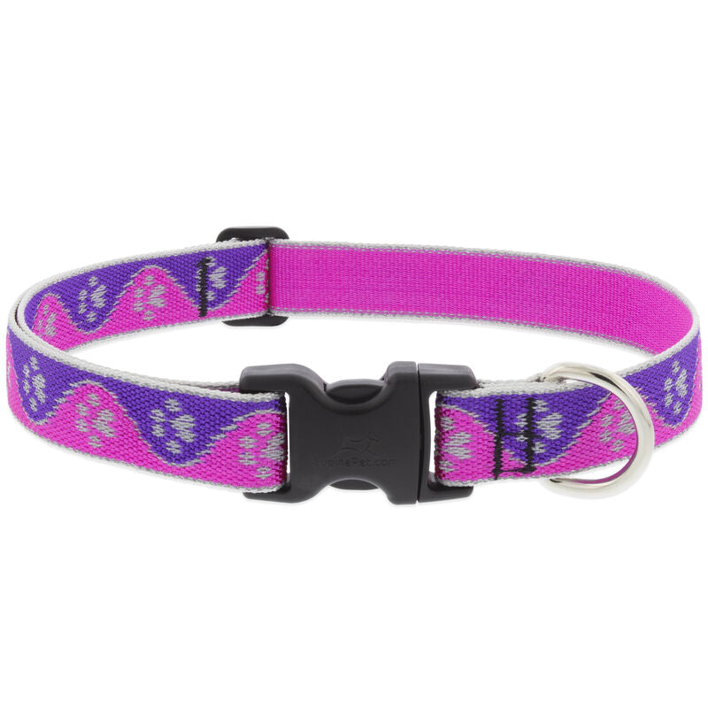 Lupine High Lights Dog Collars (Quick Release)