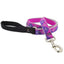 Lupine High Lights Dog Leashes