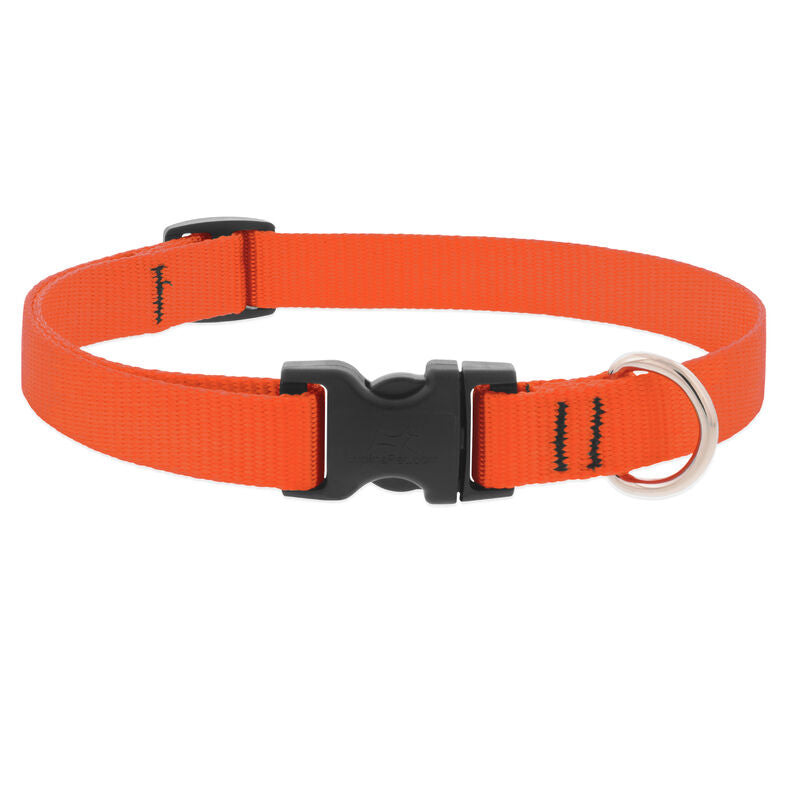 Lupine Basics Dog Collars (Quick Release)
