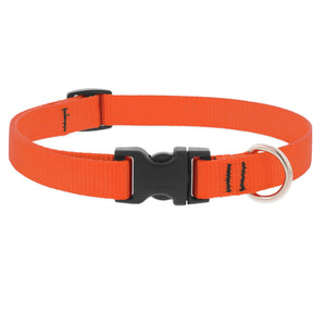 Lupine Basics Dog Collars (Quick Release)