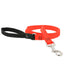 Lupine Basics Dog Leashes