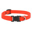 Lupine Basics Dog Collars (Quick Release)
