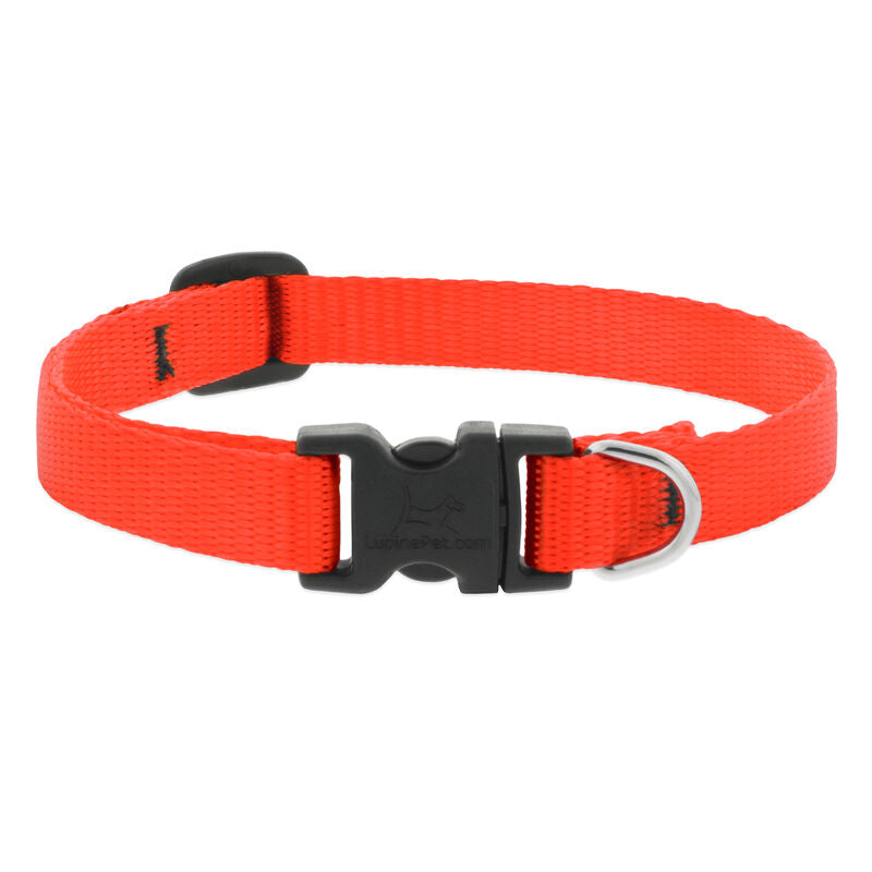 Lupine Basics Dog Collars (Quick Release)