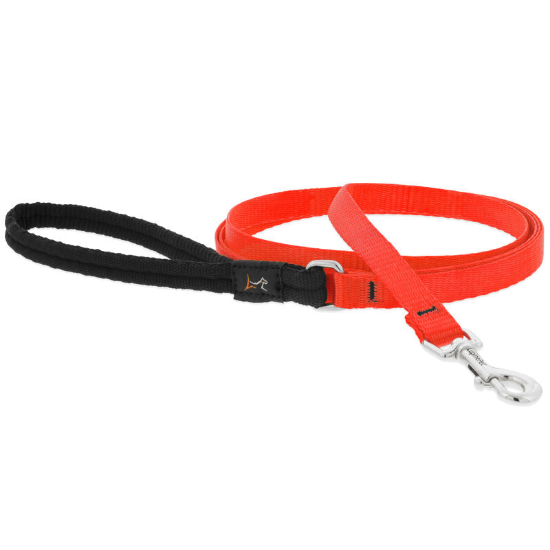 Lupine Basics Dog Leashes
