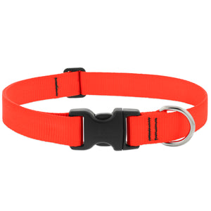 Lupine Basics Dog Collars (Quick Release)
