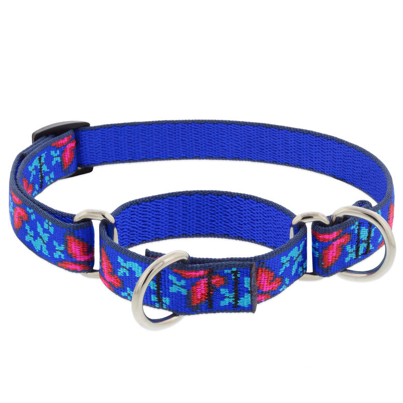 Lupine Original Designs Martingale Dog Collars