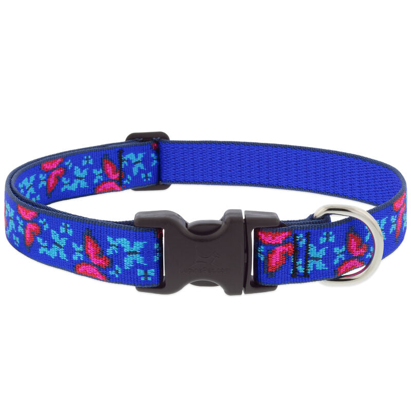 Lupine Original Designs Dog Collars (Quick Release)