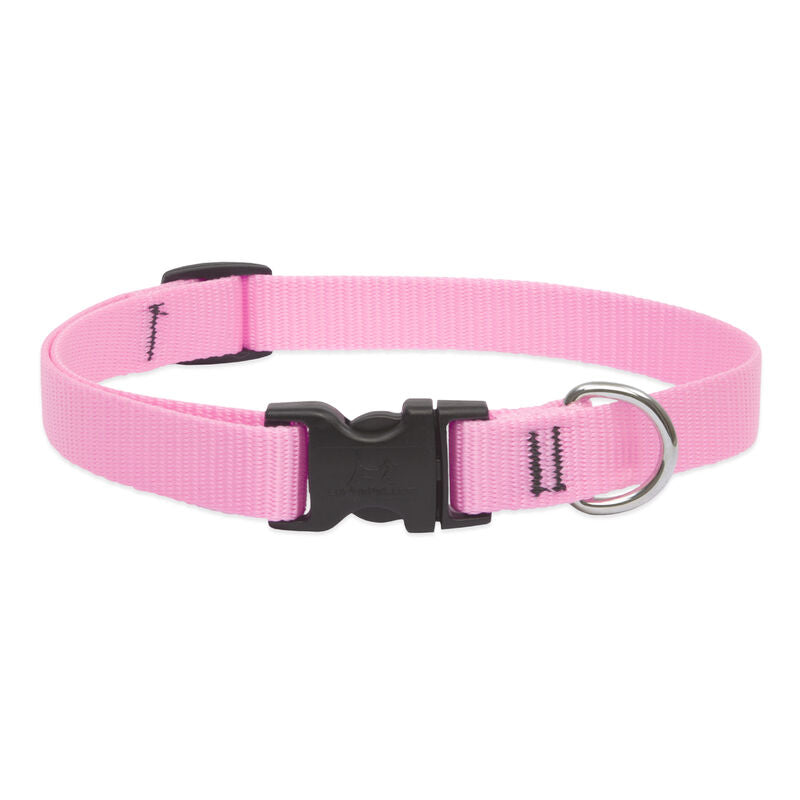 Lupine Basics Dog Collars (Quick Release)