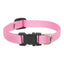 Lupine Basics Dog Collars (Quick Release)