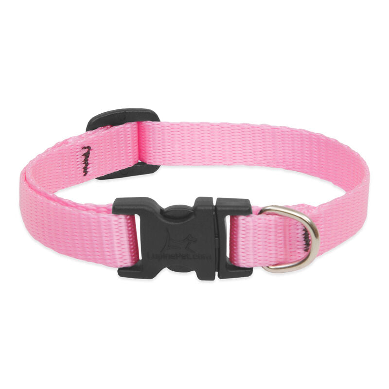 Lupine Basics Dog Collars (Quick Release)