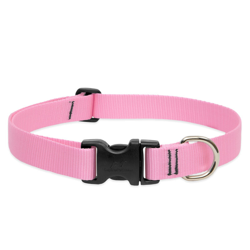 Lupine Basics Dog Collars (Quick Release)