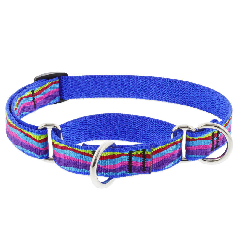Lupine Original Designs Martingale Dog Collars