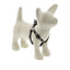Lupine Original Designs Step In Harnesses