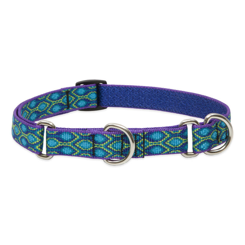 Lupine Original Designs Martingale Dog Collars