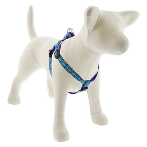 Lupine Original Designs Step In Harnesses