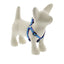 Lupine Original Designs Step In Harnesses