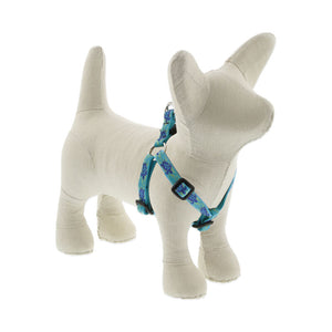 Lupine Original Designs Step In Harnesses