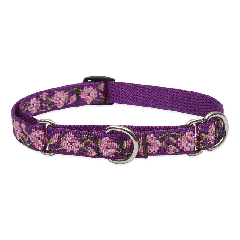 Lupine Original Designs Martingale Dog Collars