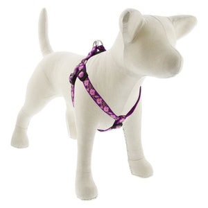 Lupine Original Designs Step In Harnesses