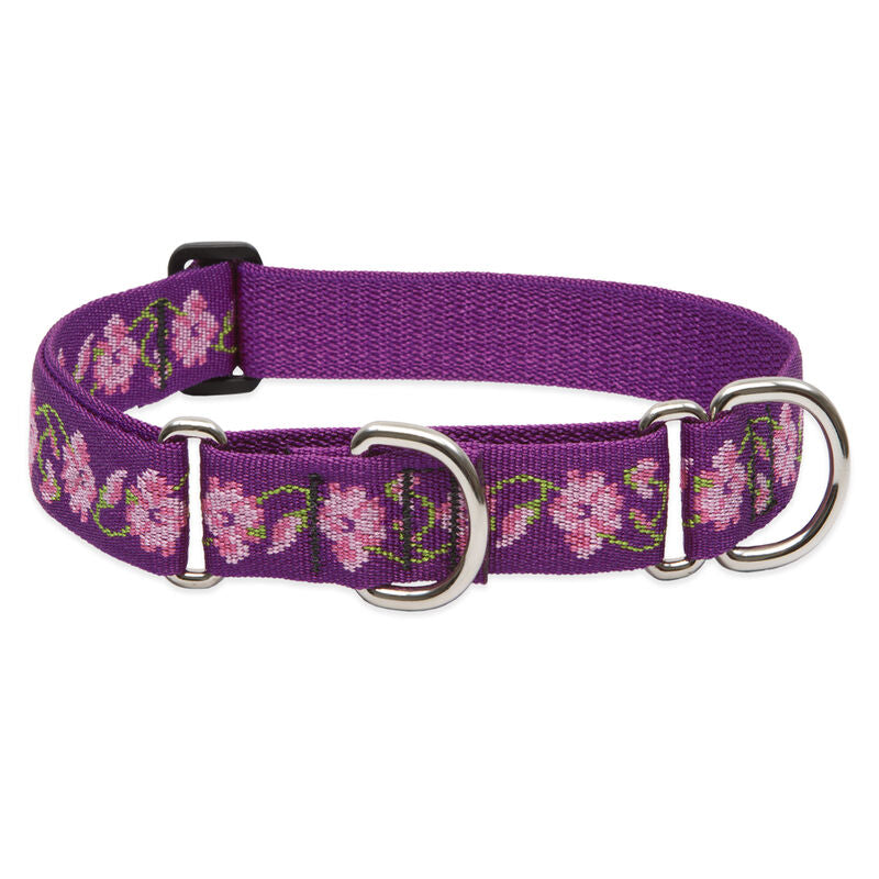 Lupine Original Designs Martingale Dog Collars