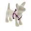 Lupine Original Designs Step In Harnesses