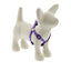Lupine Original Designs Step In Harnesses