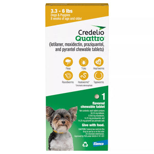 Credelio Quattro Chew
