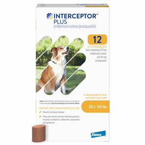 Interceptor Plus Chewable Tablet