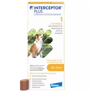 Interceptor Plus Chewable Tablet