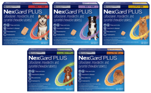Nexgard Plus Chew