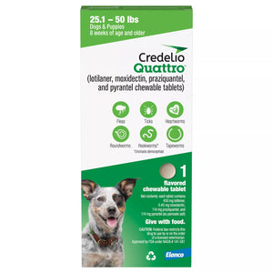 Credelio Quattro Chew